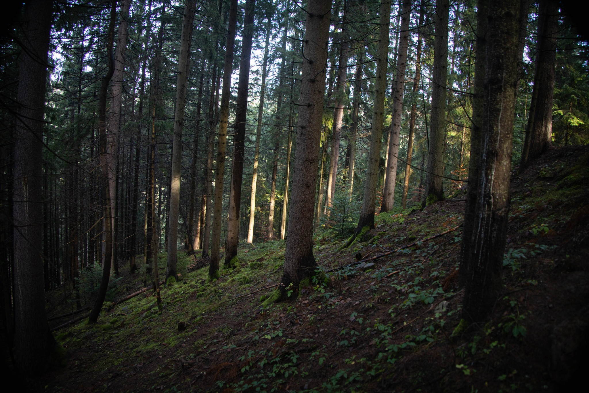 Photo: Olena Maksymenko